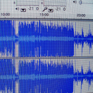 Editing in Audacity, by Laura Blankenship